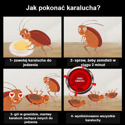 Stacja karmienia karaluchów