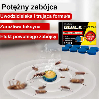 Stacja karmienia karaluchów