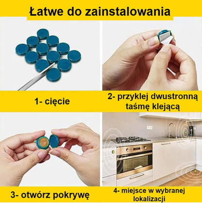 Stacja karmienia karaluchów